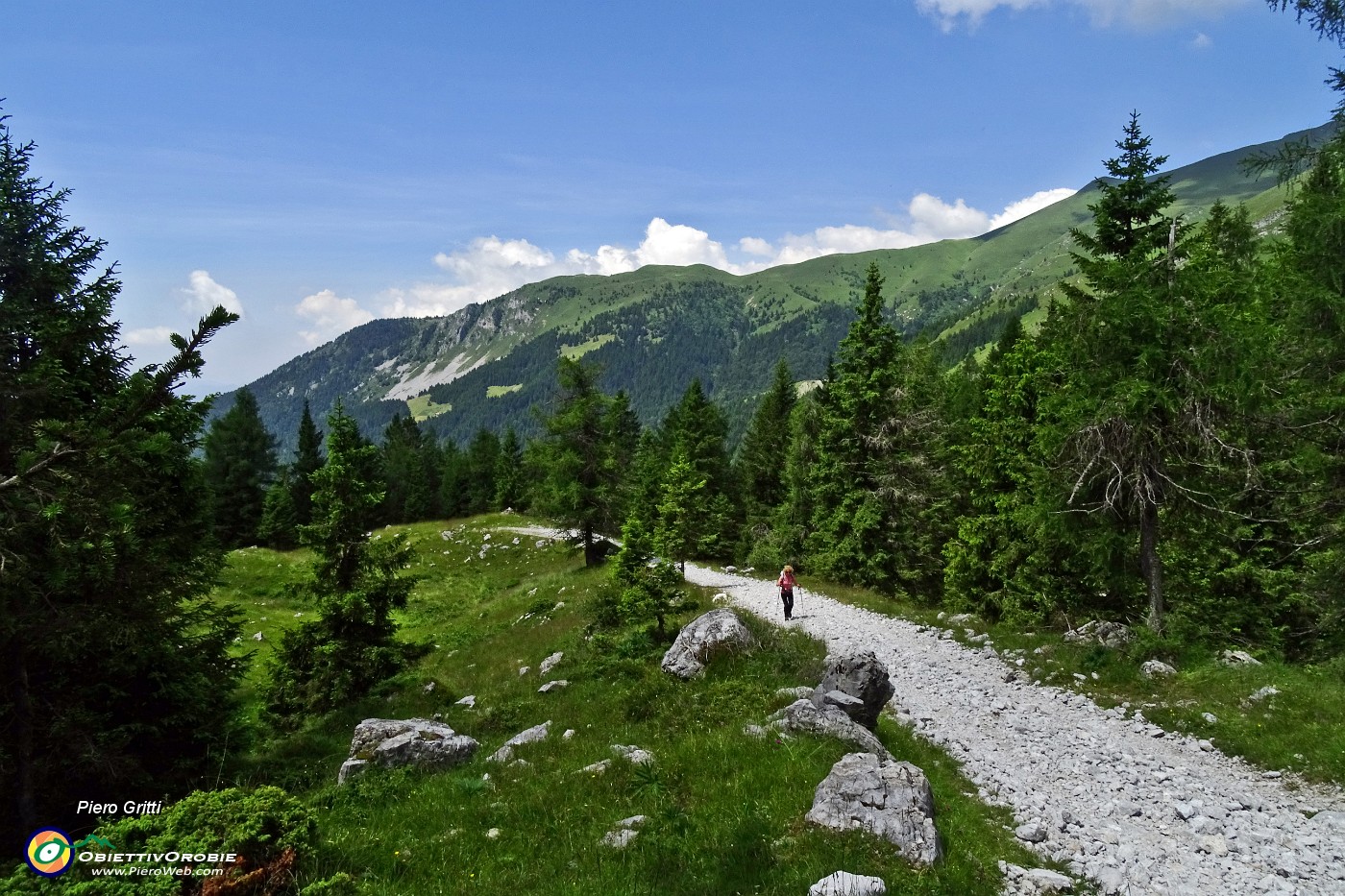 31 Strada sterrata a tratti molto sassosa.JPG -                                